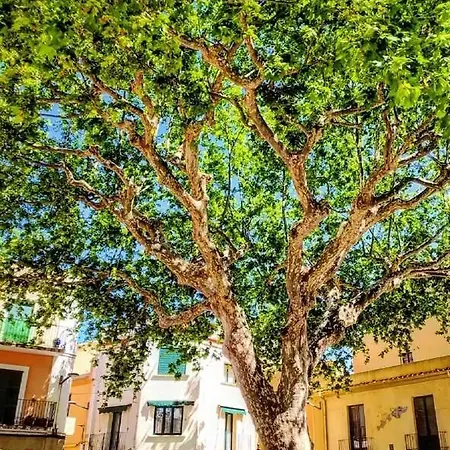 Residencia Sant Jordi *